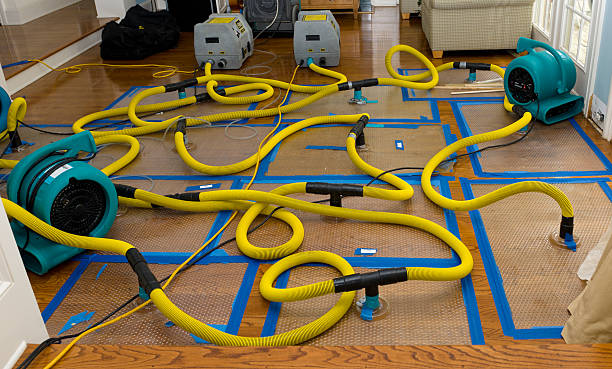 Professional Crawl Space Water Removal technician working in Hawarden, IA